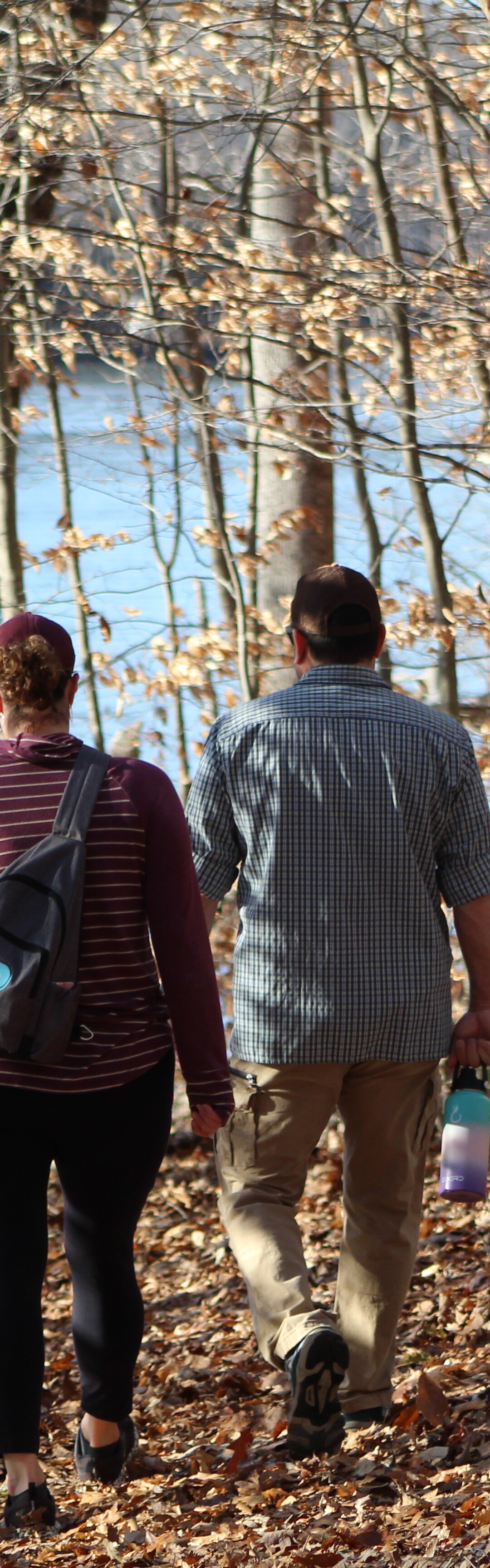 Free Guided Woodland Hikes