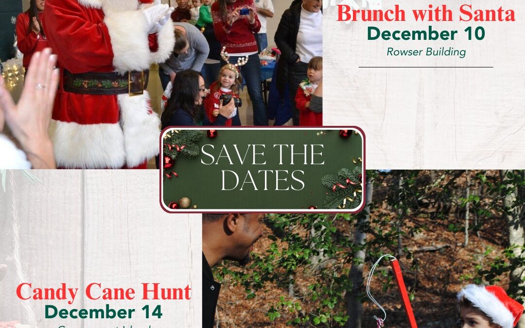 Stafford County Candy Cane Hunt