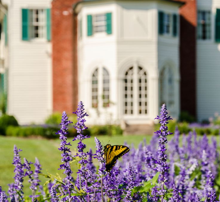 Free Admission Sundays in January