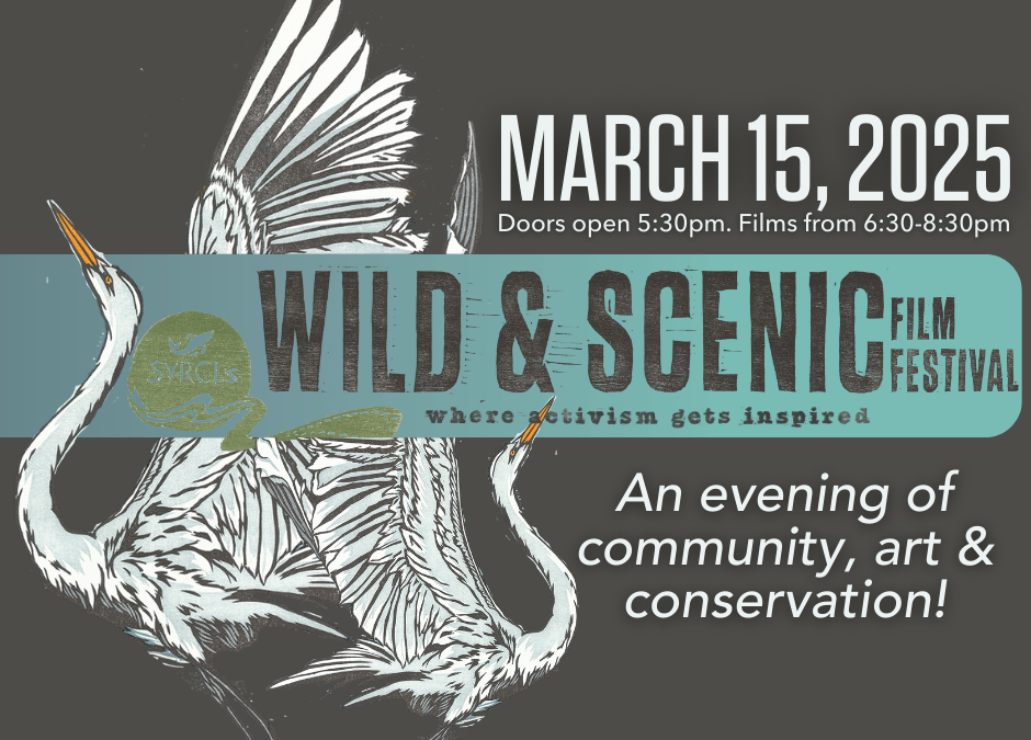 13th Annual Wild & Scenic Film Festival