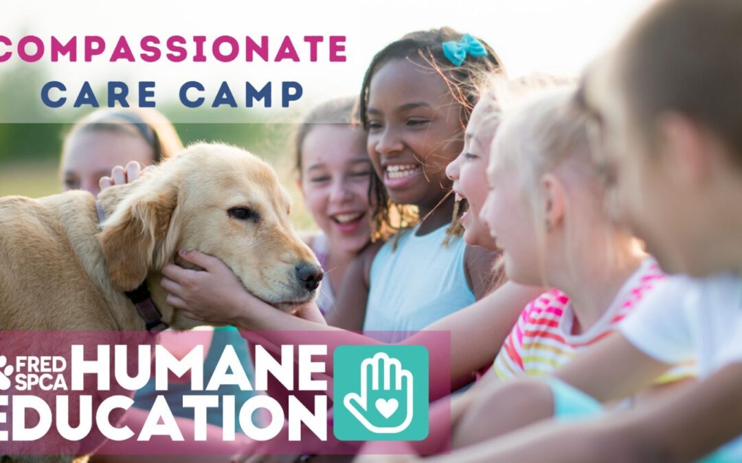 Fredericksburg SPCA Compassionate Care Camp