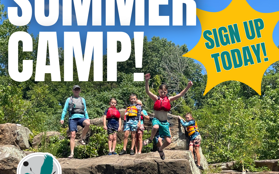 FOR’s Summer Camp