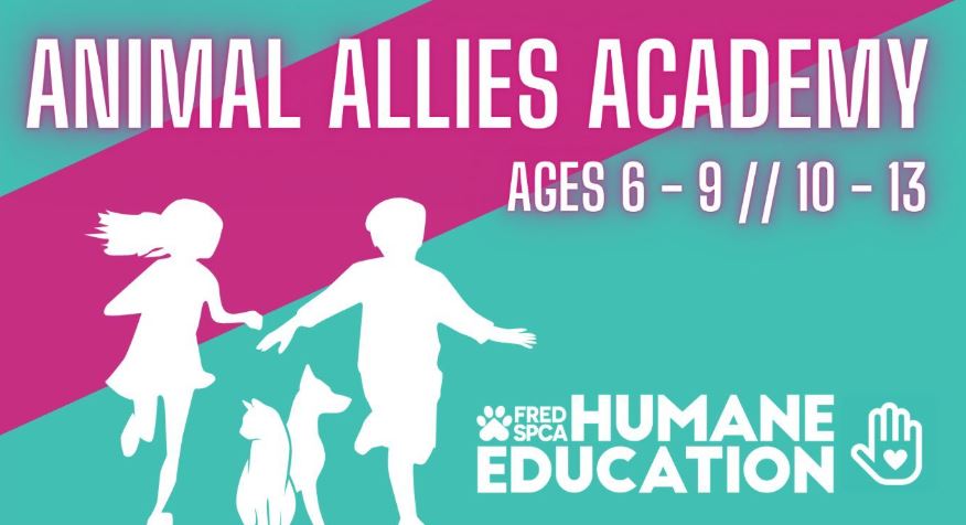 Animal Allies Academy