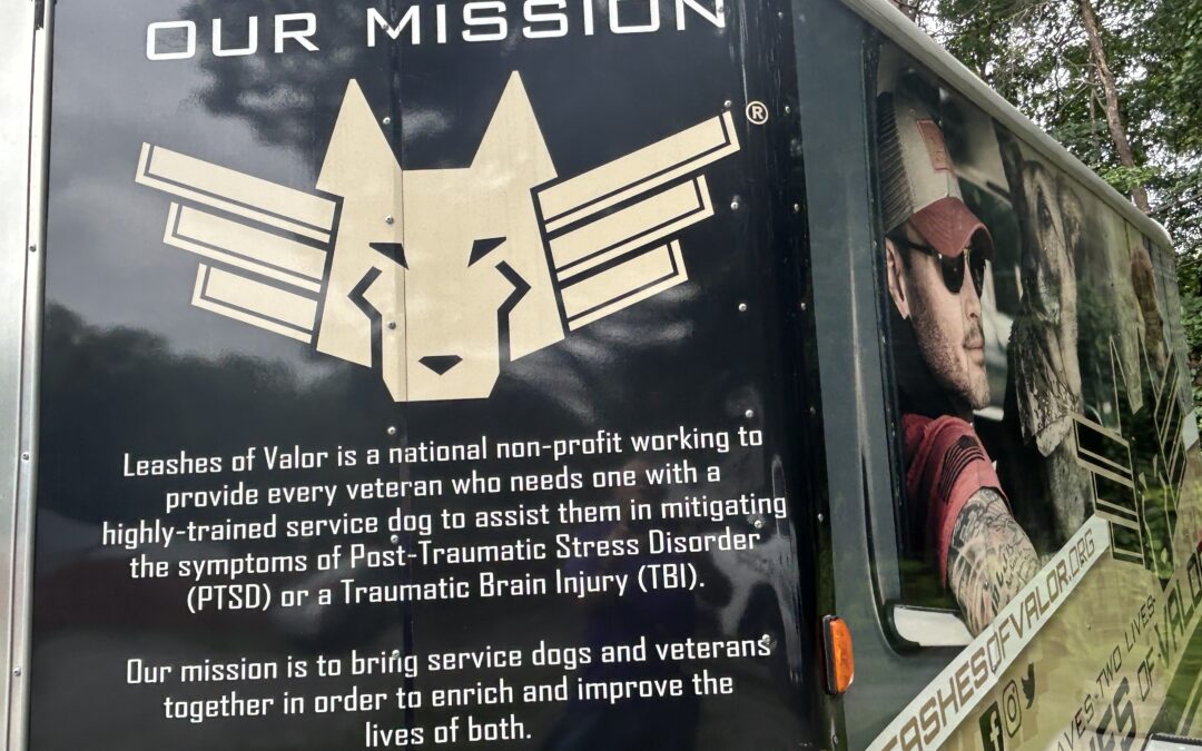 WATCH:  Leashes of Valor needing fosters for service dog training