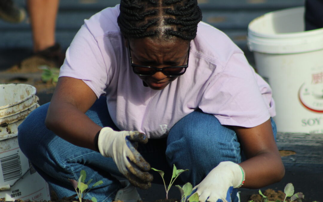 PHOTOS:  Cold-weather planting kicks off at Rappahannock Education Farm