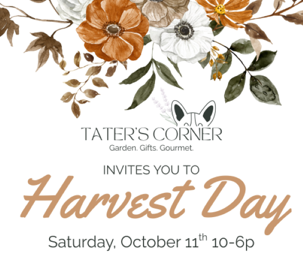 Harvest Day at Tater’s Corner