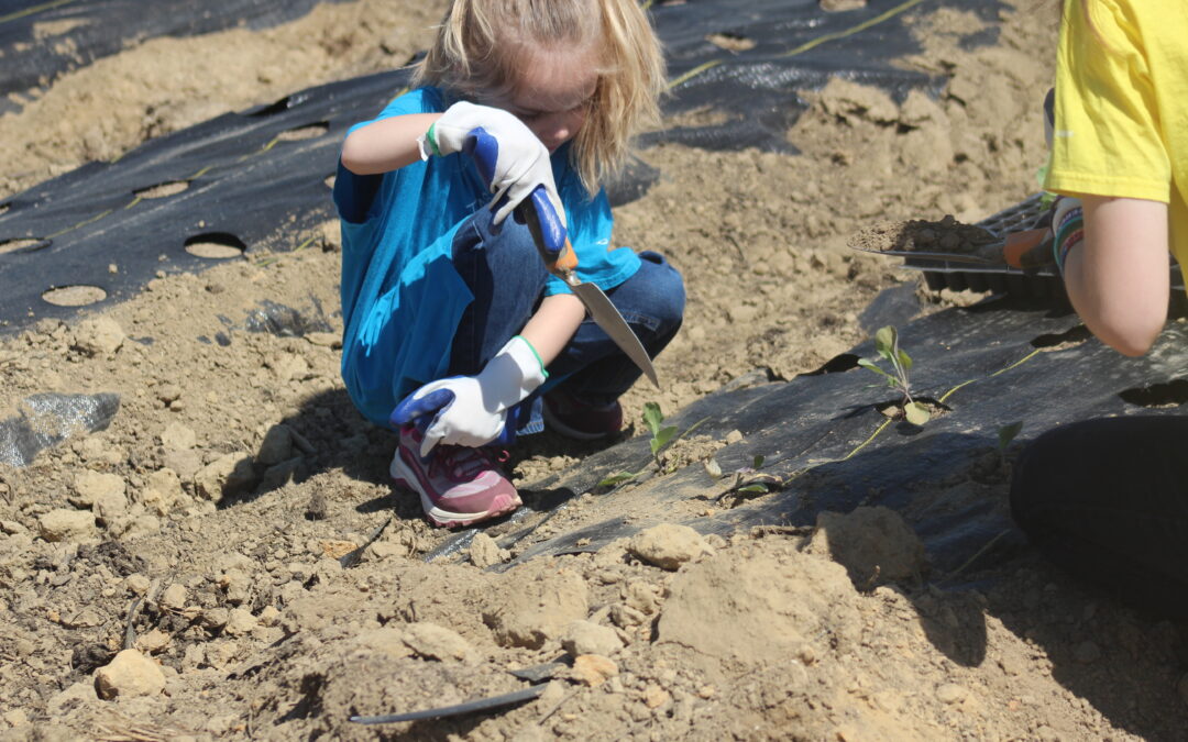 PHOTOS: Hunger Action Day in the Fredericksburg area–Rappahannock Education Farm