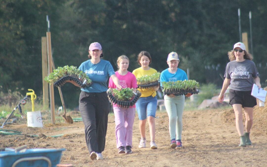 PHOTOS: Volunteers dig in to plant 6,500 seedlings at Rappahannock Education Farm