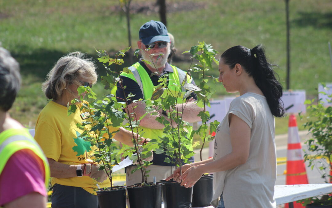 PHOTOS:  Thousands of native plants find new homes at Tree Fredericksburg Festival