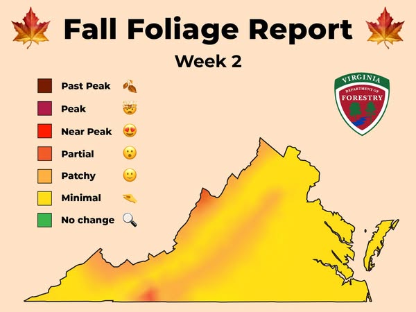 State forestry department says Virginia’s fall color progress pauses, but not for long