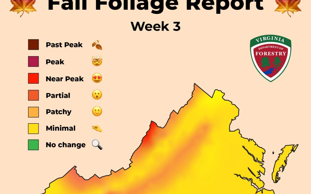 Warm weather delays peak fall color in much of Virginia