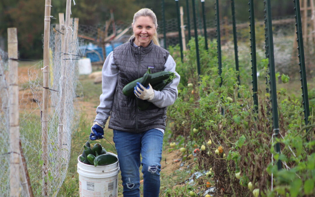 PHOTOS:  Record harvest helps fight food insecurity, supports Quantico families