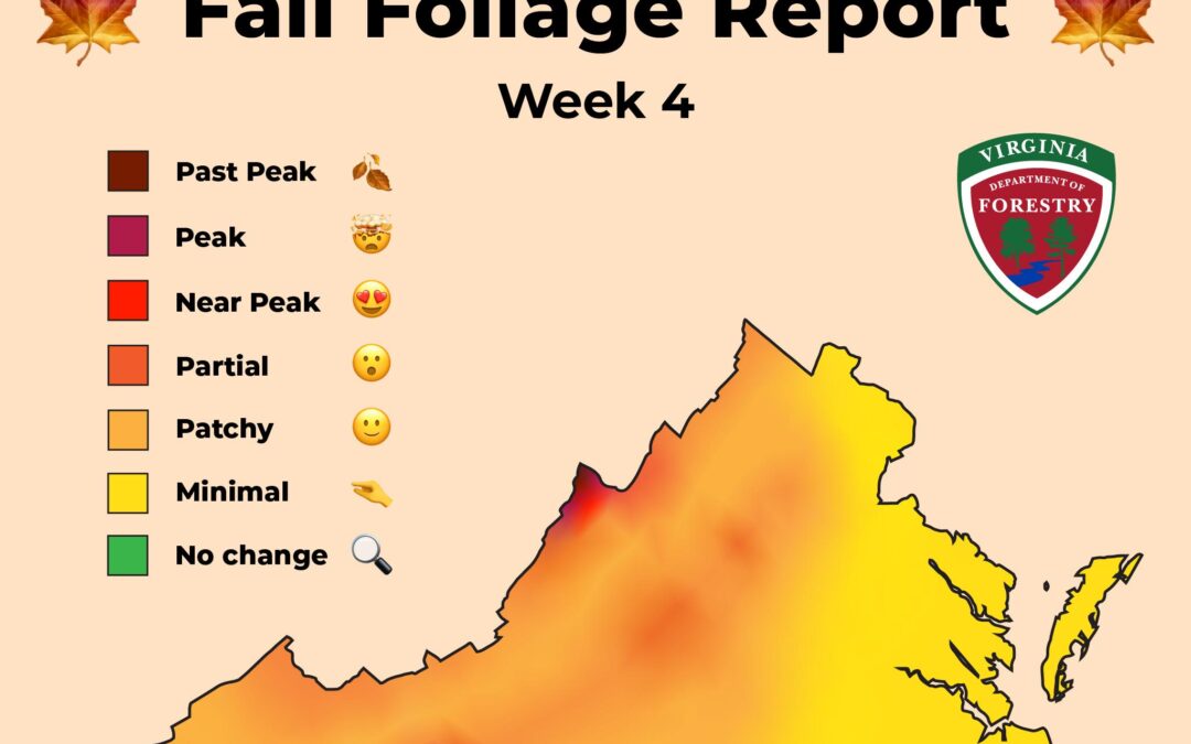 Fall color still slow to arrive across Virginia