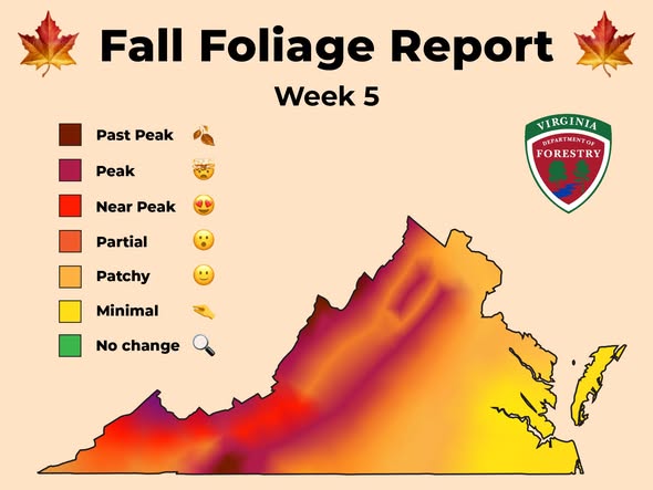 Peak fall foliage arrives in Virginia’s mountains