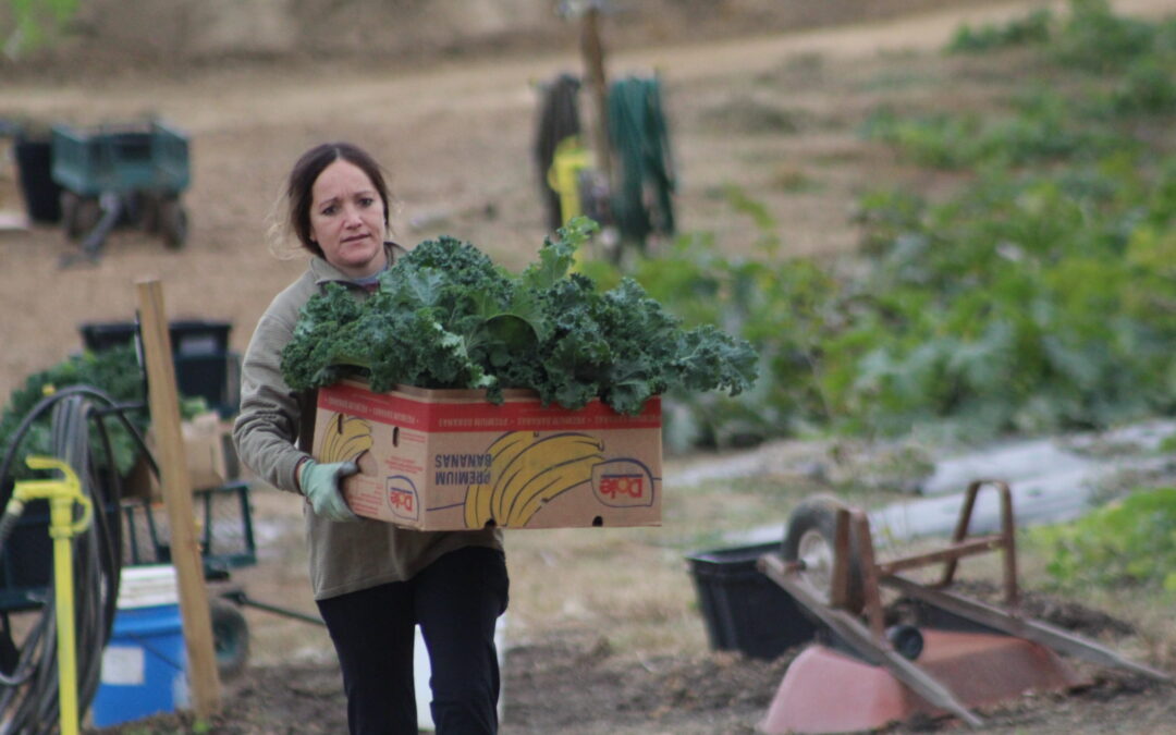 PHOTOS:  Farm to fork