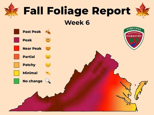Virginia’s fall color peaks shift to lower elevations