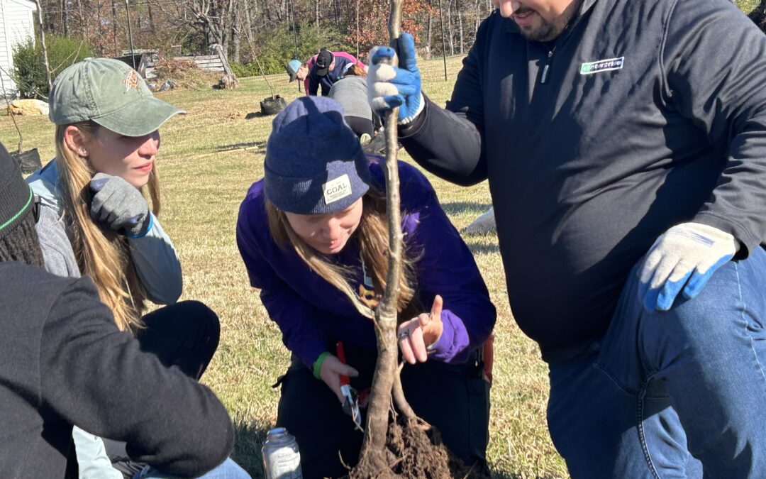 PHOTOS/VIDEO:  Orchard-in-the-making at Rappahannock Education Farm