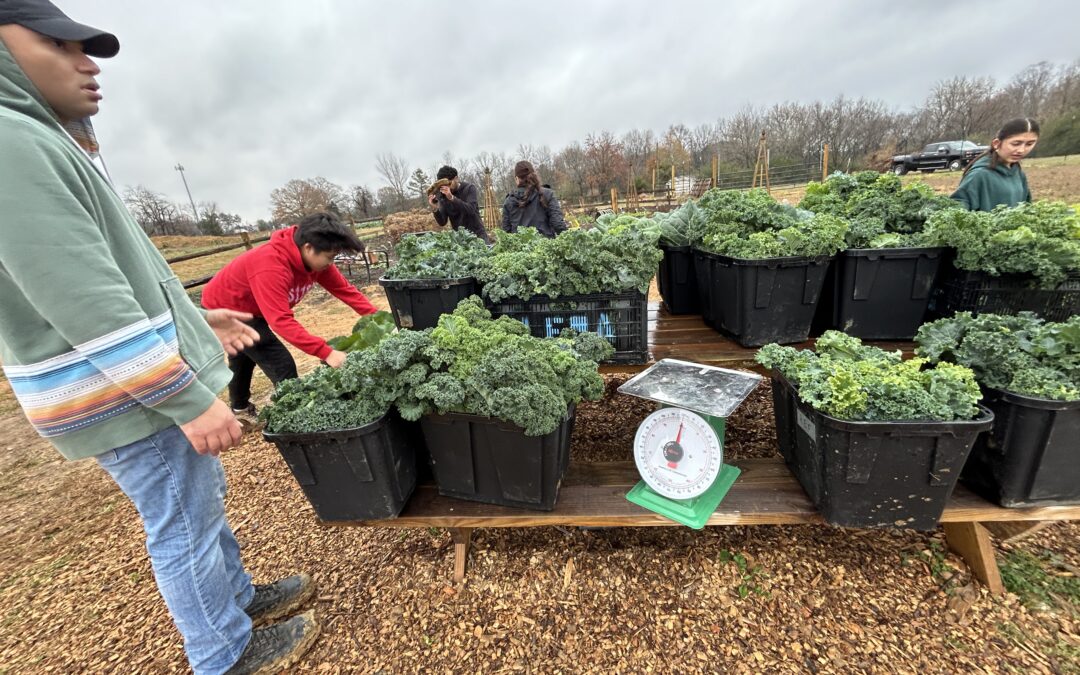 PHOTOS:  Cold, wet morning doesn’t slow farm volunteers helping fight hunger