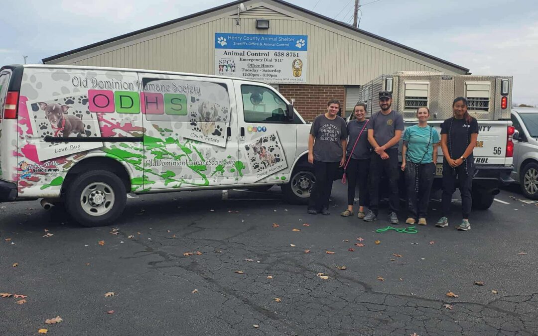 Neglected dogs pulled from unsafe home; Dozens transported to Fredericksburg