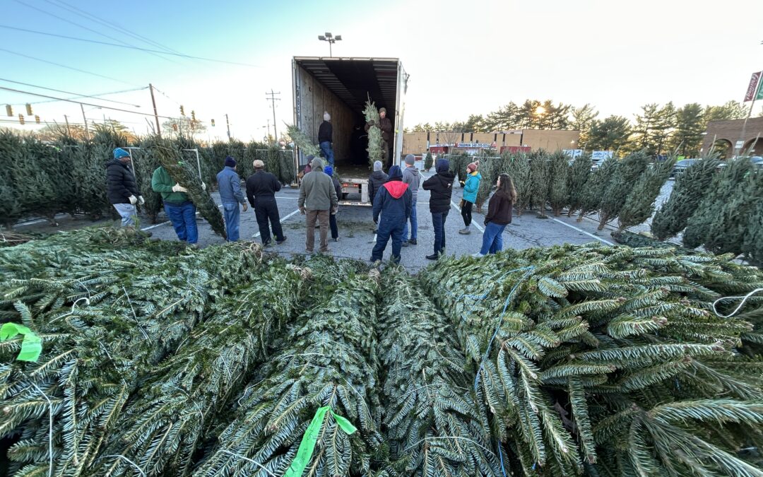 PHOTOS:  Fredericksburg Host Lions Club launches annual Christmas tree sale