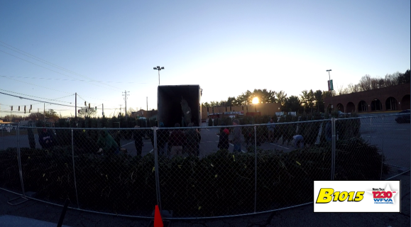 WATCH:  A forest in fast-forward