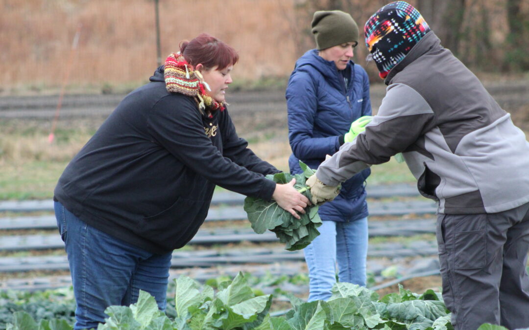 PHOTOS:  Cold, mud, and determination at Rappahannock Education Farm