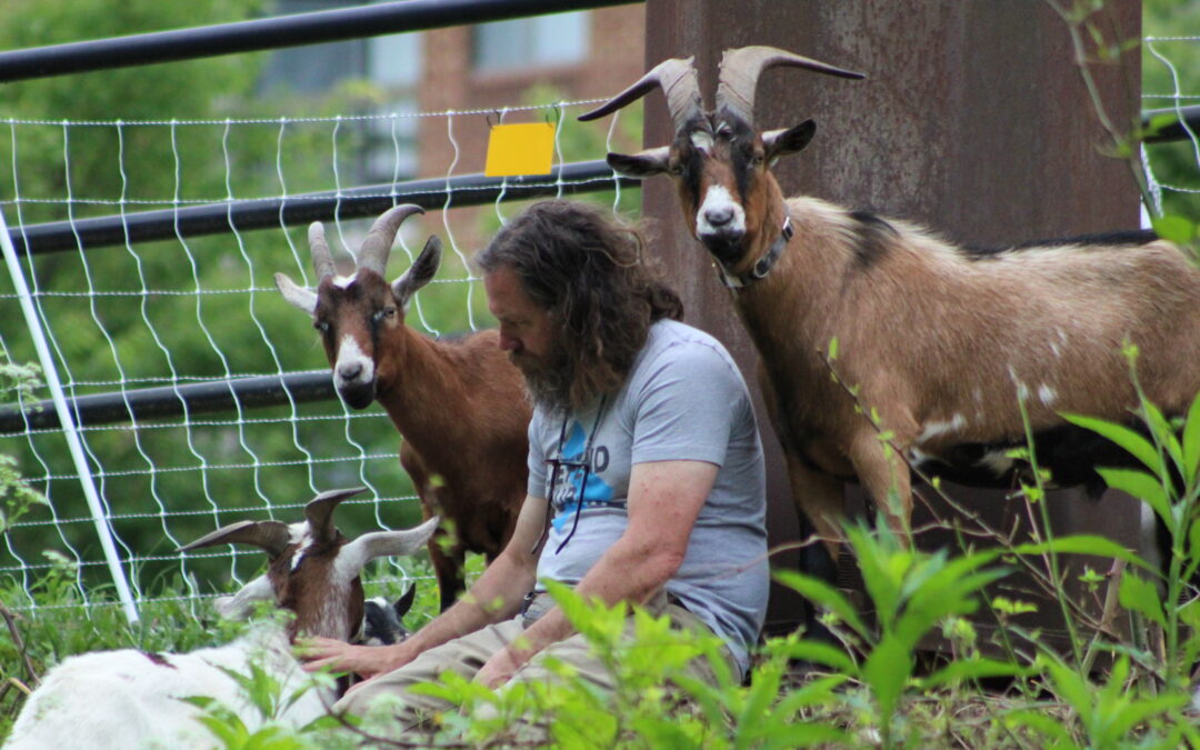 LISTEN:  We took you there;  2025