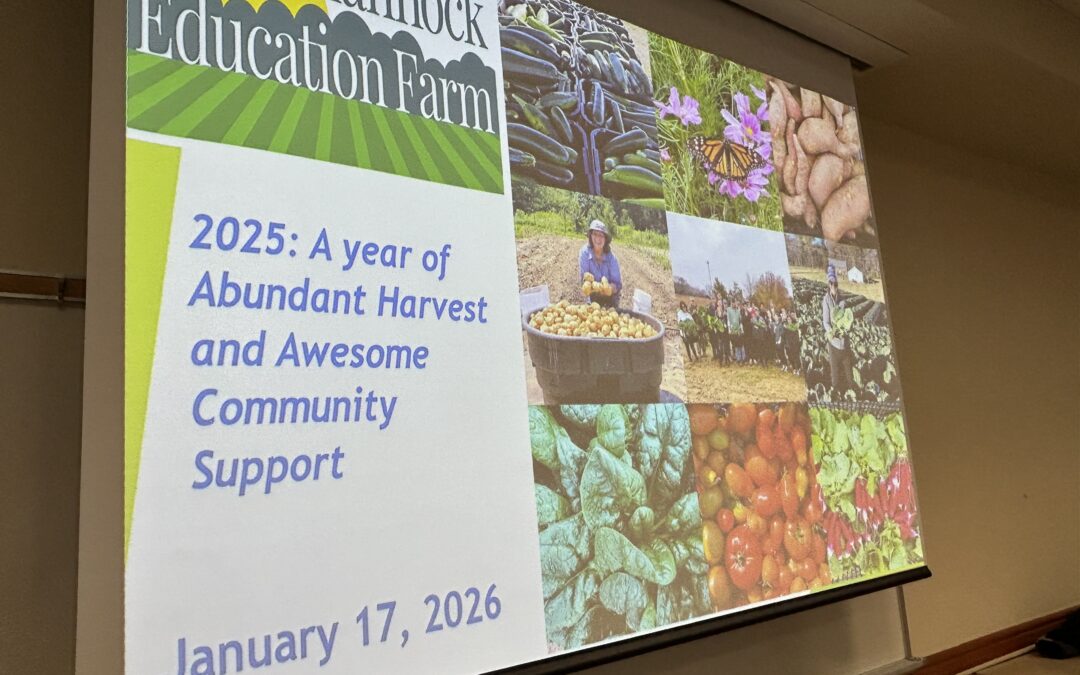 WATCH: Rappahannock Education Farm shares lessons from first full season