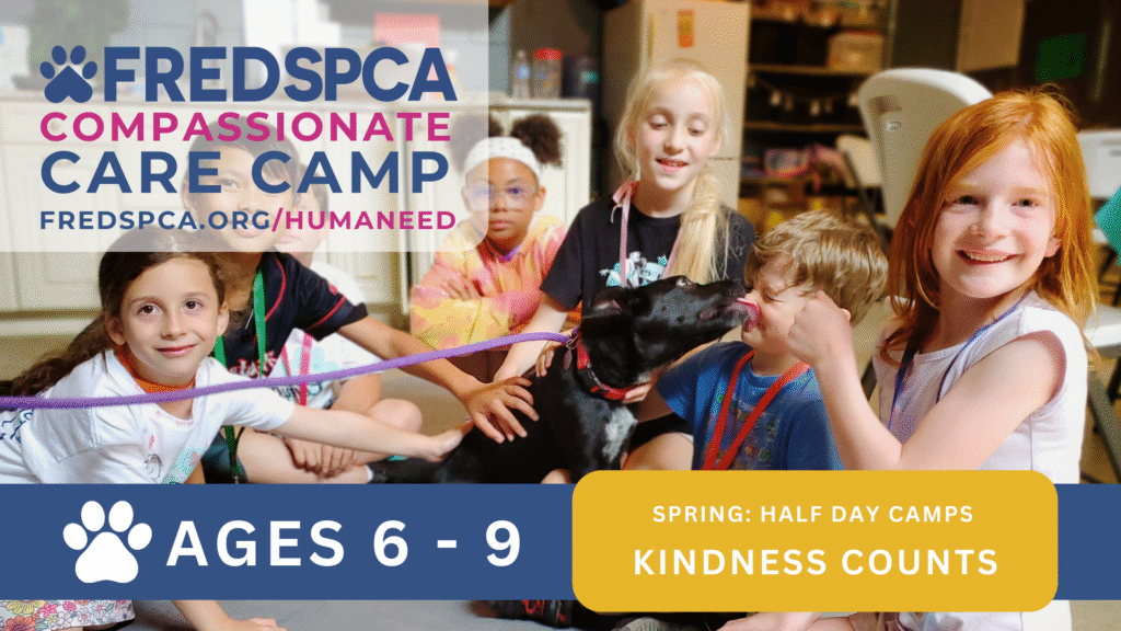 Compassionate Care Camp: Kindness Counts, Ages 6-9