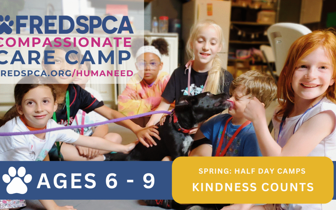 Compassionate Care Camp: Kindness Counts, Ages 6-9