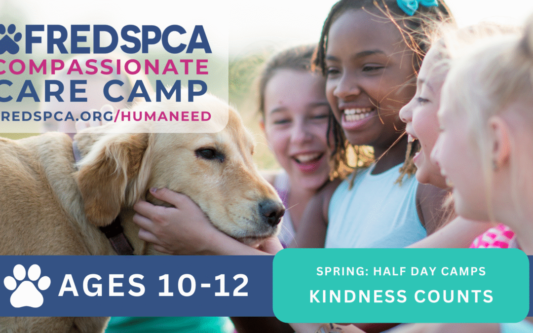 Compassionate Care Camp: Kindness Counts, Ages 10-12