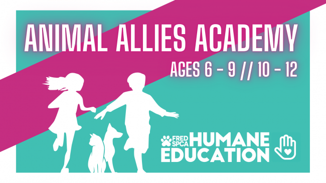 Animal Allies Academy: Hearts for Paws, Ages 10-12
