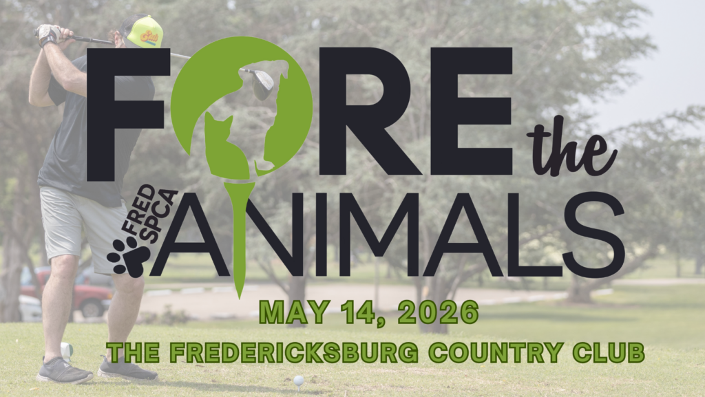 FORE! The Animals Annual Golf Tournament