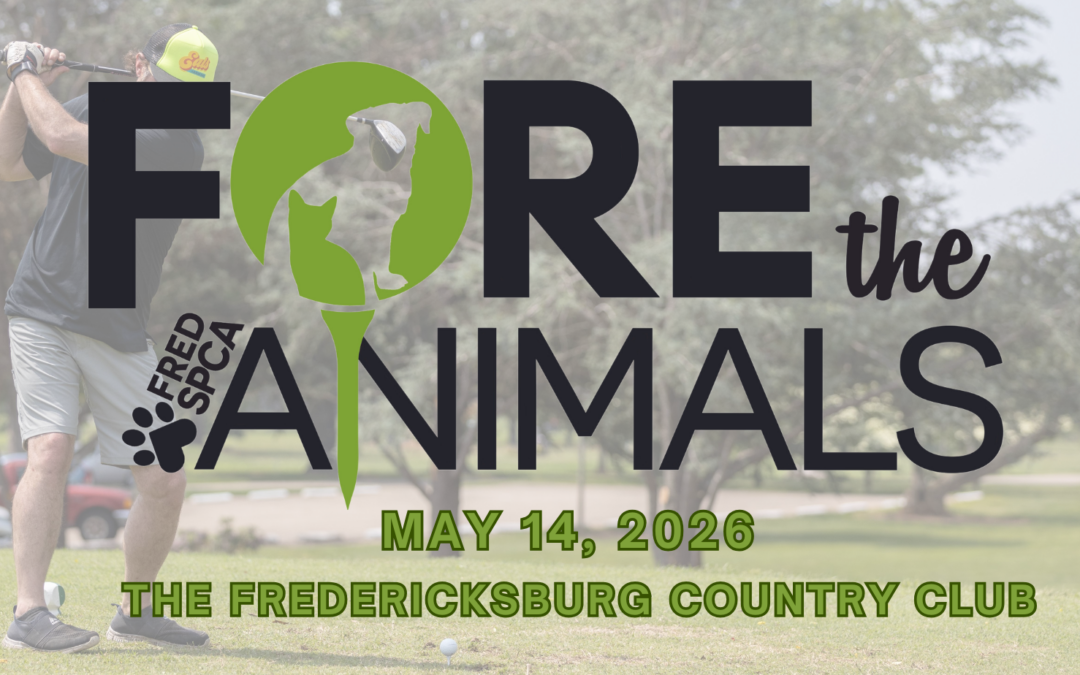 FORE! The Animals Annual Golf Tournament