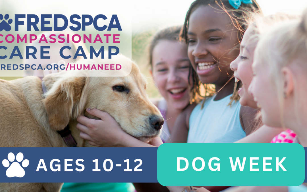 Compassionate Care Camp: Dog Week, Ages 10-12
