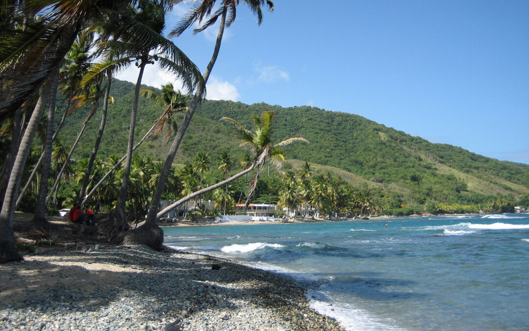 Halftime show holds special meaning for local Puerto Rican community