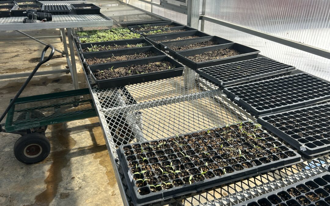 PHOTOS:  Spring starts early at Rappahannock Adult Activities