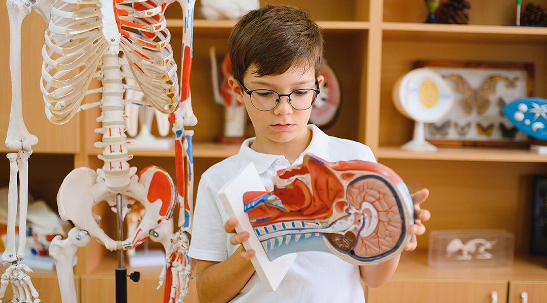 Growing Strong Kids Wellness Festival