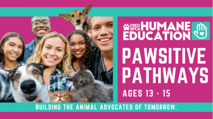Pawsitive Pathways- Spring into Shelter Careers