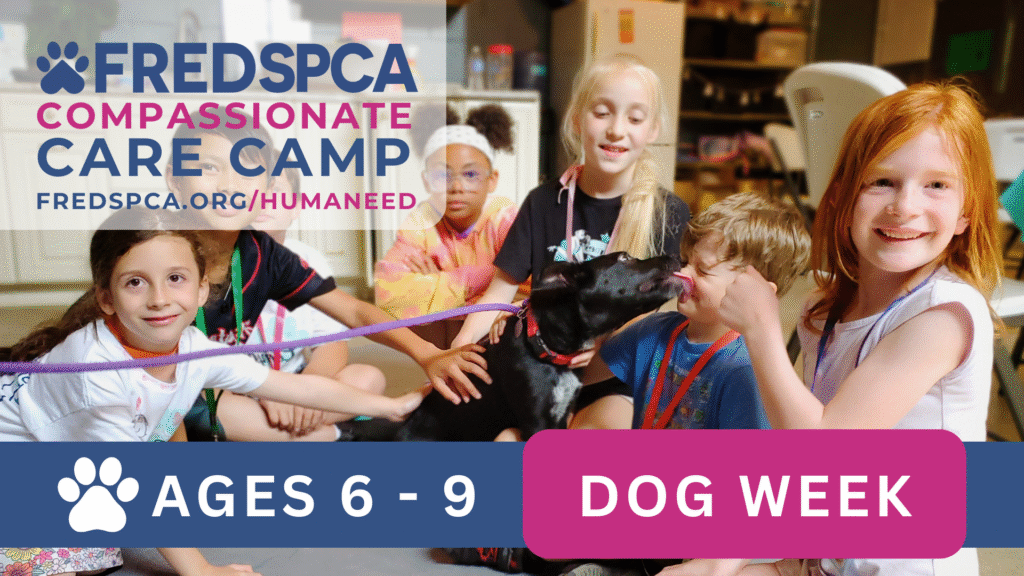 Compassionate Care Camp: Dog Week, Ages 6-9