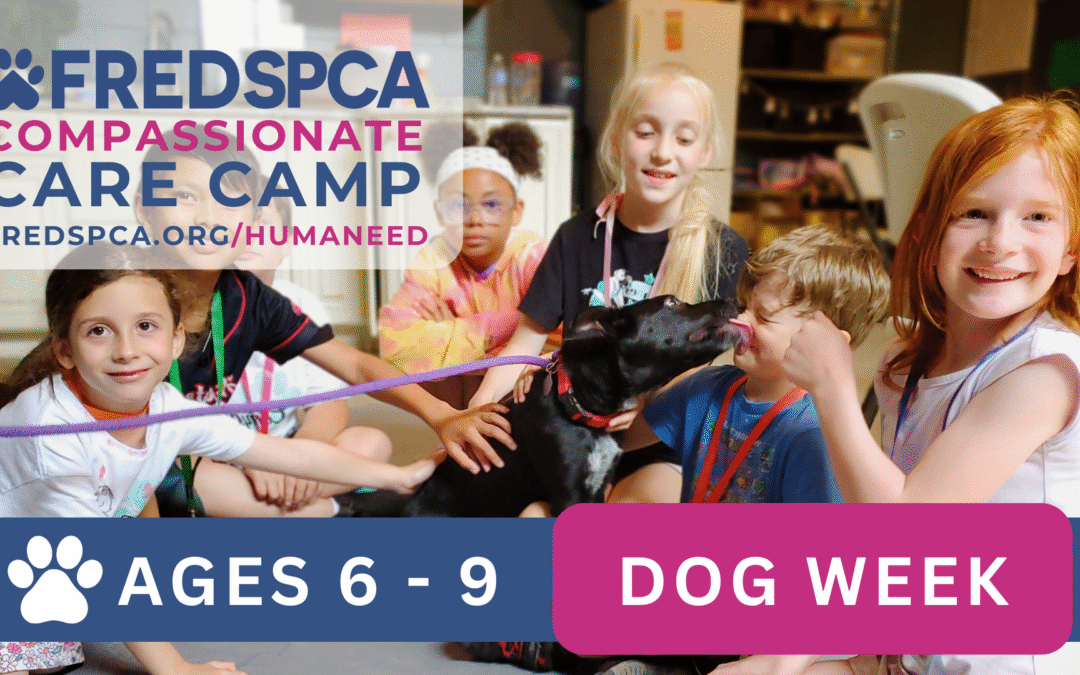 Compassionate Care Camp: Dog Week, Ages 6-9