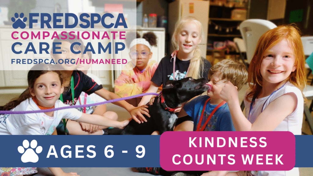 Compassionate Care Camp: Kindness Counts Week, Ages 6-9