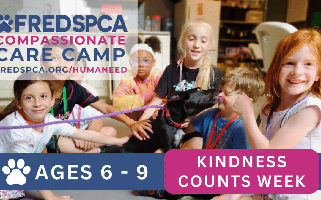 Compassionate Care Camp: Kindness Counts Week, Ages 6-9