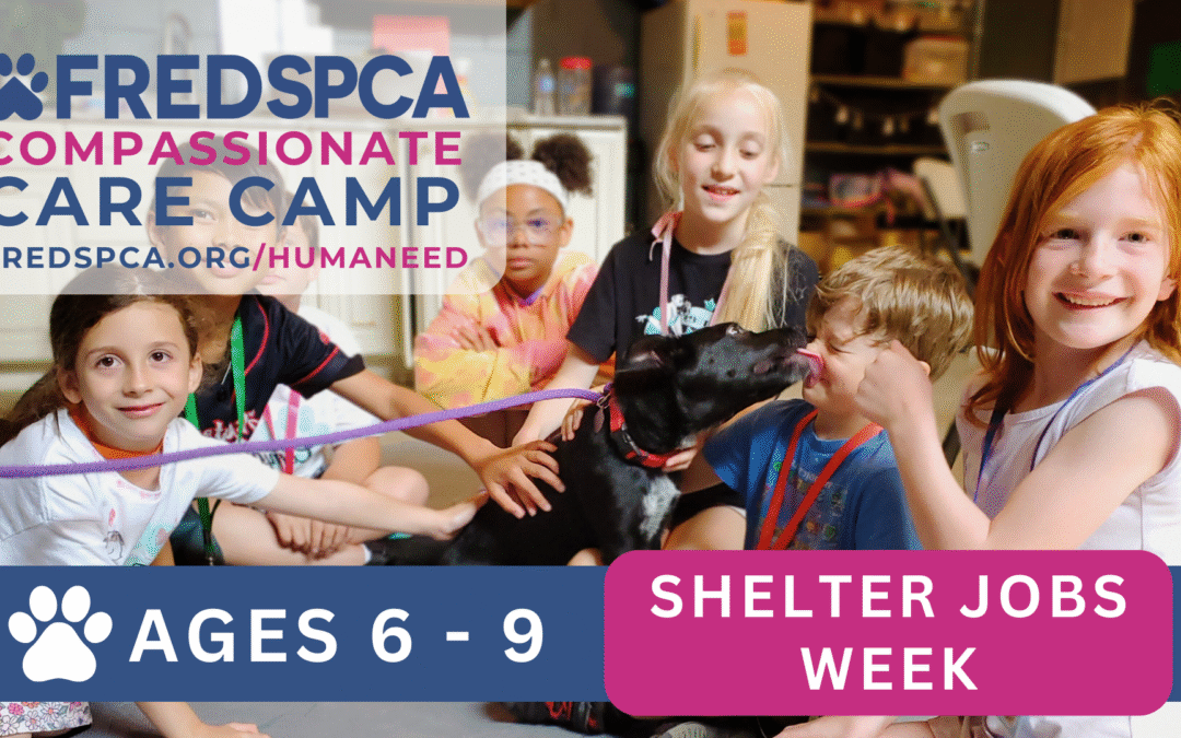 Compassionate Care Camp: Shelter Roles Week, Ages 6-9