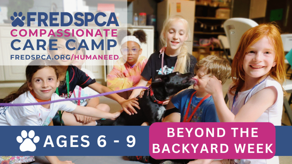 Compassionate Care Mini-Camp: Beyond the Backyard, Ages 6-9
