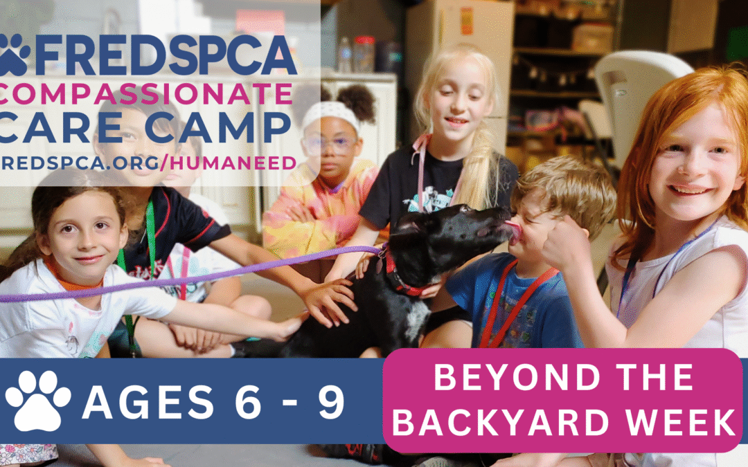 Compassionate Care Mini-Camp: Beyond the Backyard, Ages 6-9