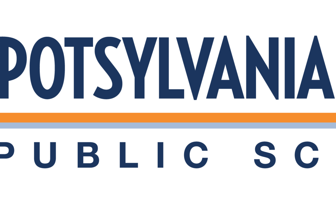 Executive decision: Mitchell ‘baffled’ by Spotsylvania School Board members’ attempt to shelve director position