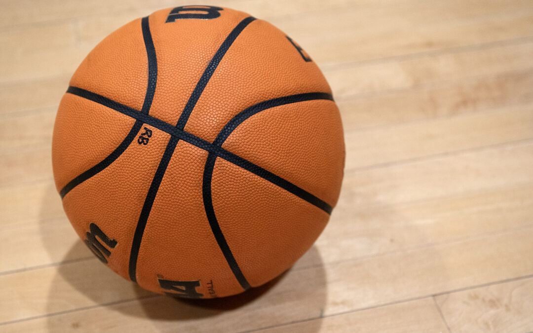 Massaponax unable to take flight in state semifinal setback to Pilots