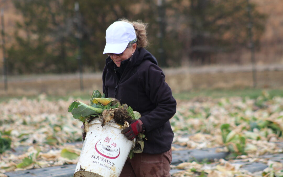 PHOTOS:  Dirty hands, big help at Rappahannock Education Farm