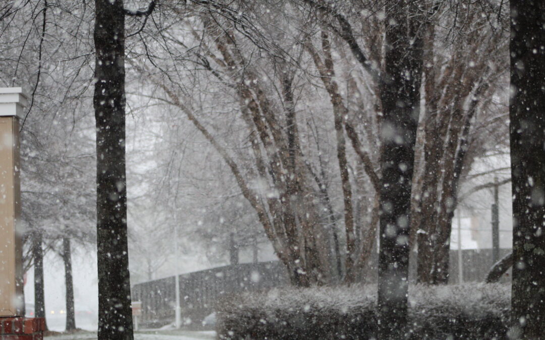 PHOTOS:  Hopefully Thursday’s snow was winter’s finale